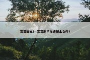 叉叉脚本？ 叉叉助手加速脚本文件？