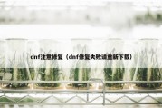 dnf注意修复（dnf修复失败请重新下载）