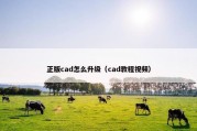 正版cad怎么升级（cad教程视频）