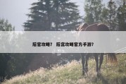 后官攻略？ 后宫攻略官方手游？