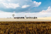 dnf战力评测，dnf2021战力