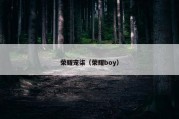 荣耀宠柒（荣耀boy）