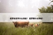 超梦应该学什么技能？ 超梦要什么技能？
