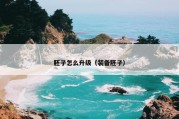 胚子怎么升级（装备胚子）
