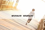蜂鸟手游公司？ 蜂鸟游戏公司？