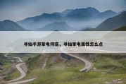 寻仙手游掌电侍宠，寻仙掌电属性怎么点