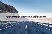 阴阳师咸鱼御魂？ 阴阳师sp咸鱼王御魂搭配2021？