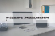 dnf花花怎么控小丑（dnf花花怎么增加暗属性抗性）