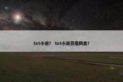 txt小说？ txt小说百度网盘？