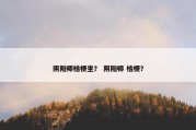 阴阳师桔梗坐？ 阴阳师 桔梗？