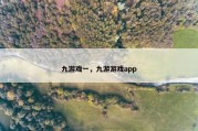 九游戏一，九游游戏app