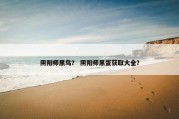 阴阳师黑鸟？ 阴阳师黑蛋获取大全？