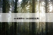 mc皮肤转18（mc皮肤怎么用）