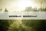 我世界房屋mod？ 我的世界房子mod？