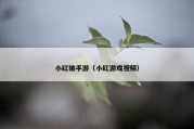 小红输手游（小红游戏视频）