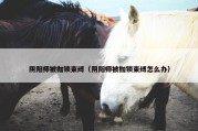 阴阳师被枷锁束缚（阴阳师被枷锁束缚怎么办）