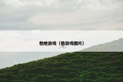 他她游戏（他游戏图片）