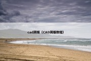 cad简版（CAD简版教程）