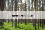 魔兽世界82沃金（wow沃金）