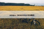 windpro（WINDPROOF中文翻译）