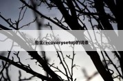 包含recoverysetup的词条