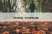 DNF合头发，dnf头发怎么染色