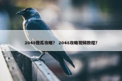2048傻瓜攻略？ 2048攻略视频教程？