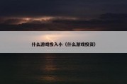 什么游戏投入小（什么游戏投资）