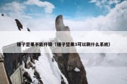 锤子坚果不能升级（锤子坚果3可以刷什么系统）