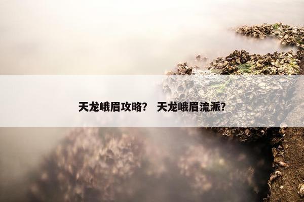 天龙峨眉攻略？ 天龙峨眉流派？