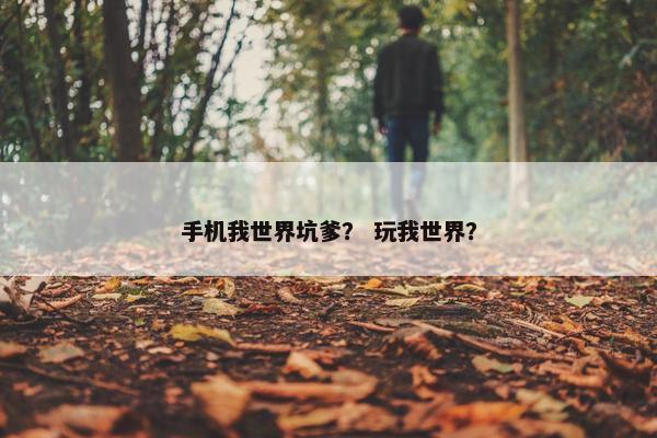 手机我世界坑爹？ 玩我世界？