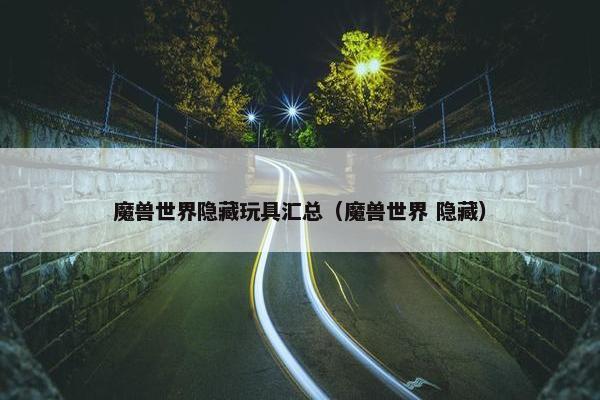 魔兽世界隐藏玩具汇总（魔兽世界 隐藏）