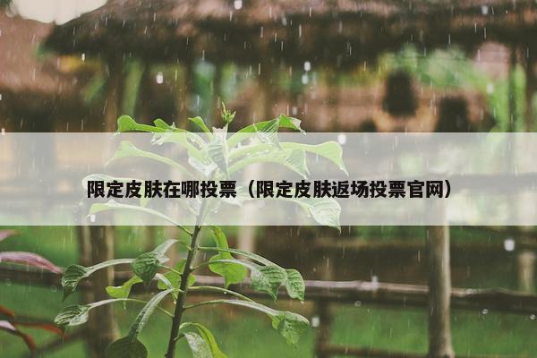 限定皮肤在哪投票（限定皮肤返场投票官网）