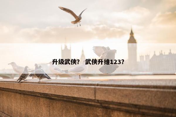 升级武侠？ 武侠升维123？