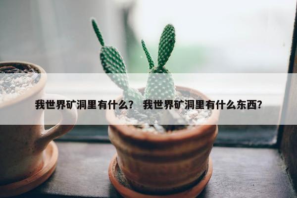 我世界矿洞里有什么？ 我世界矿洞里有什么东西？
