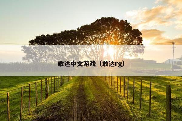 敢达中文游戏（敢达rg）