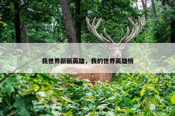 我世界新新英雄，我的世界英雄榜