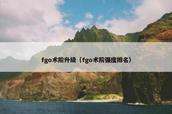 fgo术阶升级（fgo术阶强度排名）