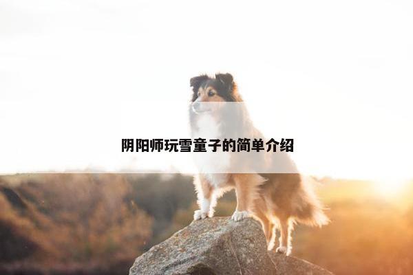 阴阳师玩雪童子的简单介绍