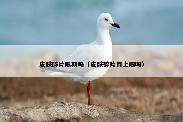 皮肤碎片限期吗（皮肤碎片有上限吗）