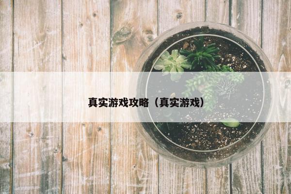 真实游戏攻略（真实游戏）