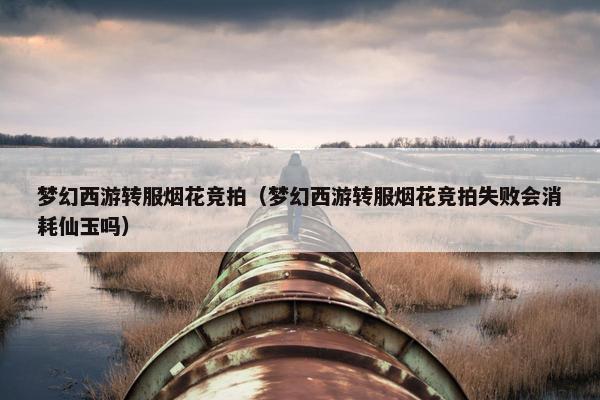 梦幻西游转服烟花竞拍（梦幻西游转服烟花竞拍失败会消耗仙玉吗）