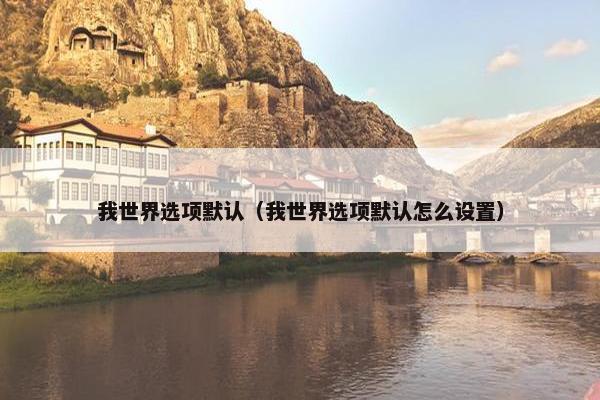 我世界选项默认（我世界选项默认怎么设置）