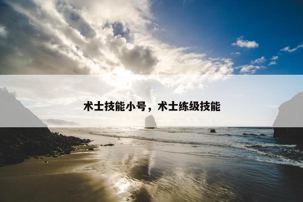 术士技能小号，术士练级技能