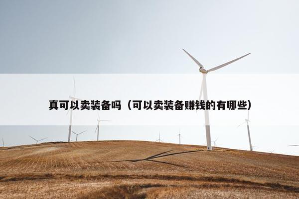 真可以卖装备吗（可以卖装备赚钱的有哪些）