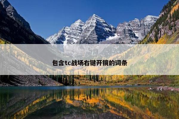 包含tc战场右键开镜的词条