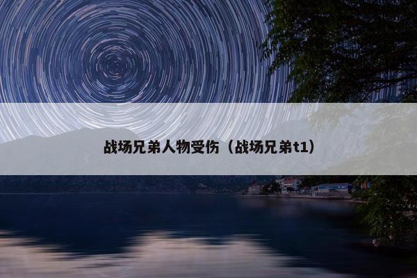 战场兄弟人物受伤（战场兄弟t1）
