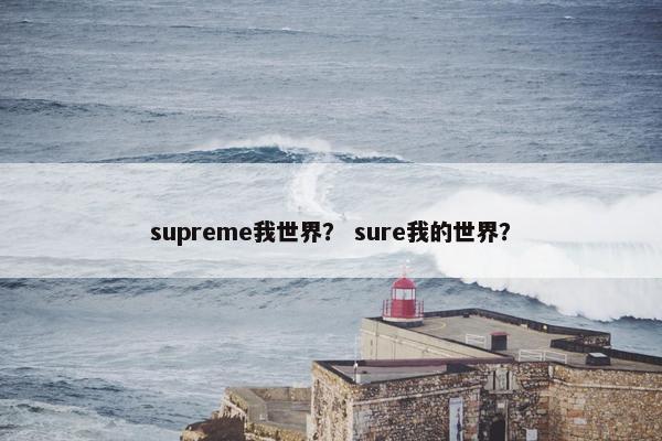 supreme我世界？ sure我的世界？