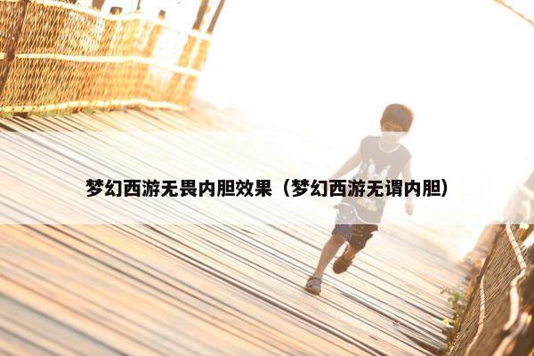 梦幻西游无畏内胆效果（梦幻西游无谓内胆）