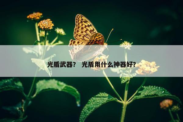 光盾武器？ 光盾用什么神器好？